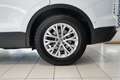 Volkswagen Touareg 3.0TDI Basis AHK Leder Luft RKam Bianco - thumbnail 28