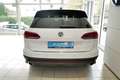 Volkswagen Touareg 3.0TDI Basis AHK Leder Luft RKam Bianco - thumbnail 19