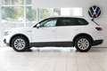 Volkswagen Touareg 3.0TDI Basis AHK Leder Luft RKam Bianco - thumbnail 3
