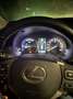 Lexus NX 300 300h 2.5 Executive 4wd cvt Білий - thumbnail 5