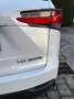 Lexus NX 300 300h 2.5 Executive 4wd cvt White - thumbnail 7