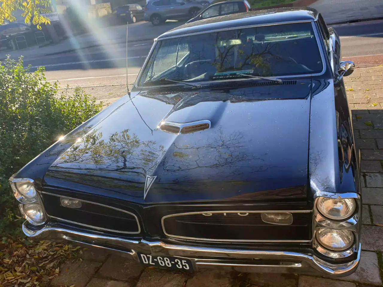 Pontiac GTO 242, foto 3