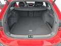 Volkswagen Passat R-Line Rot - thumbnail 17