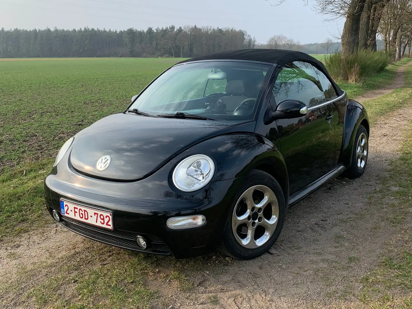Volkswagen New Beetle New Beetle Cabriolet 1.4 Noir - 2
