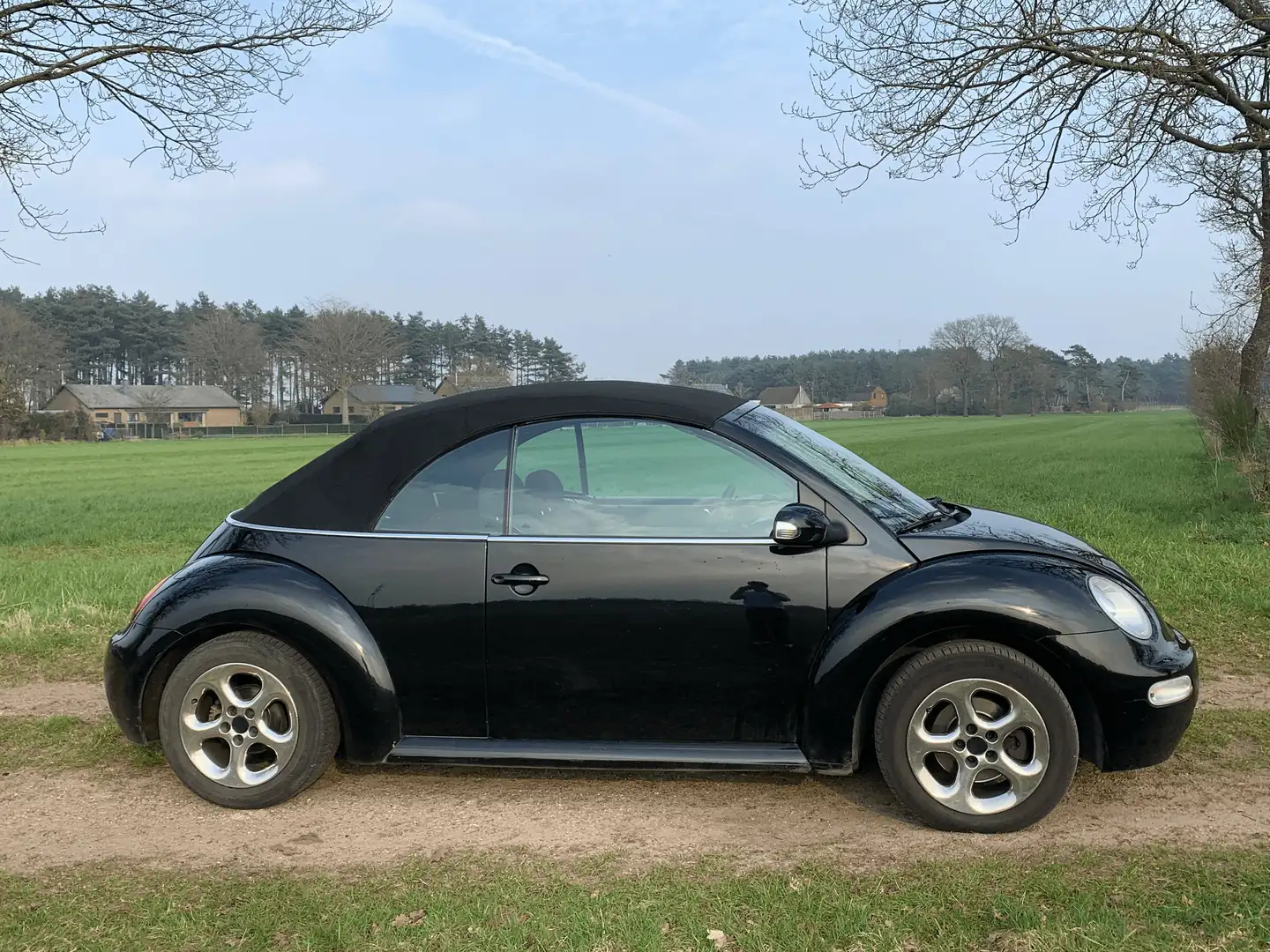 Volkswagen New Beetle New Beetle Cabriolet 1.4 Noir - 1