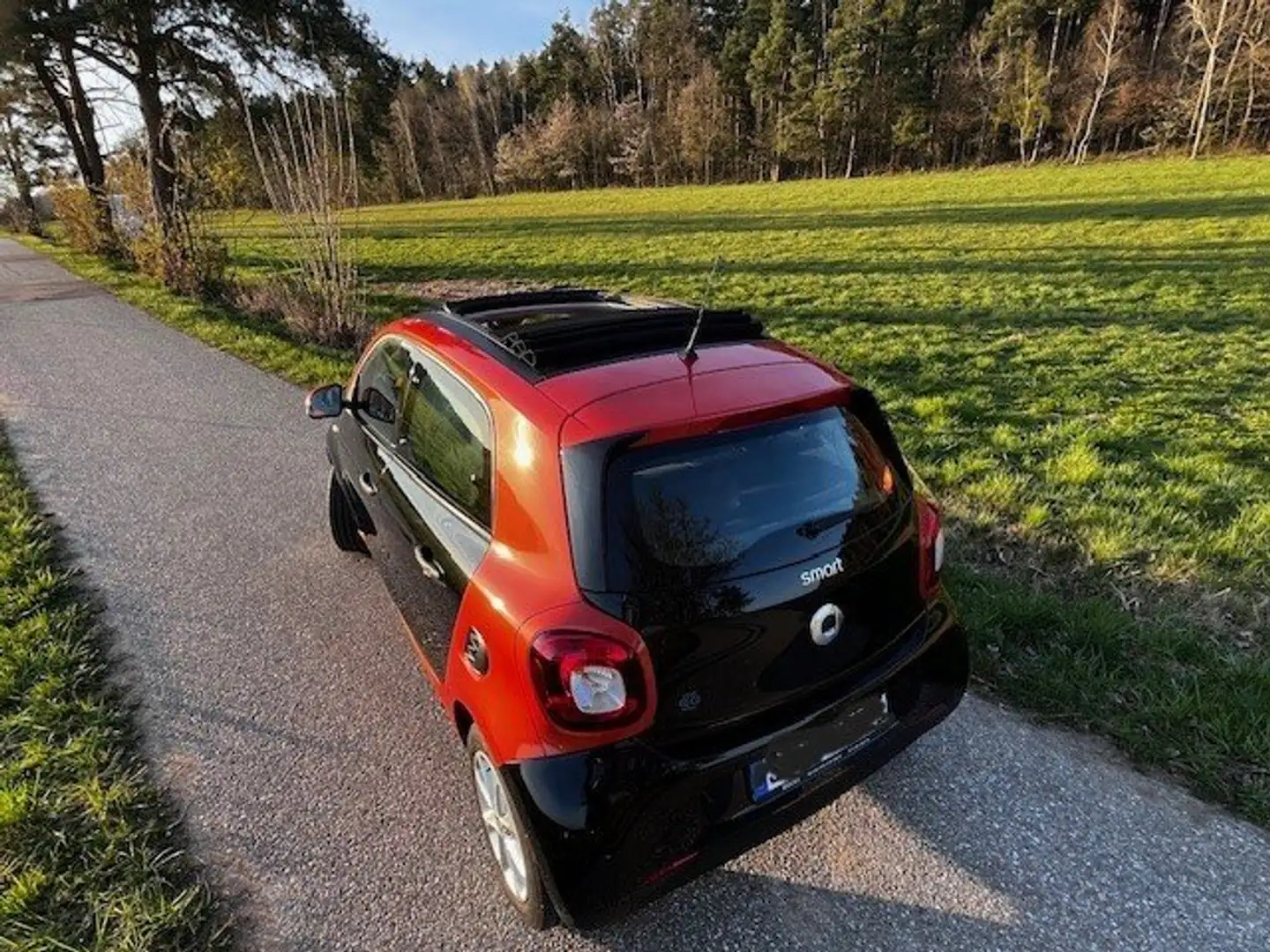 smart forFour electric drive / EQ (453.091) Naranja - 2