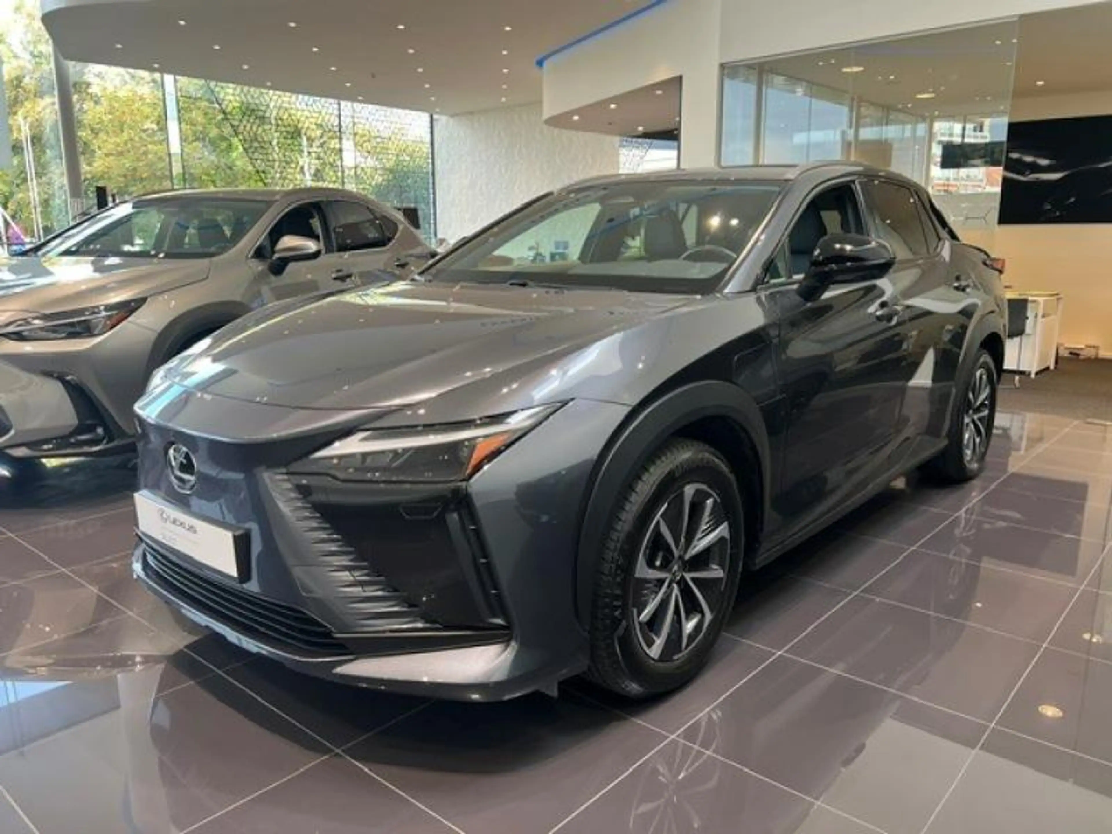 Lexus RZ Executive Line — photo 9