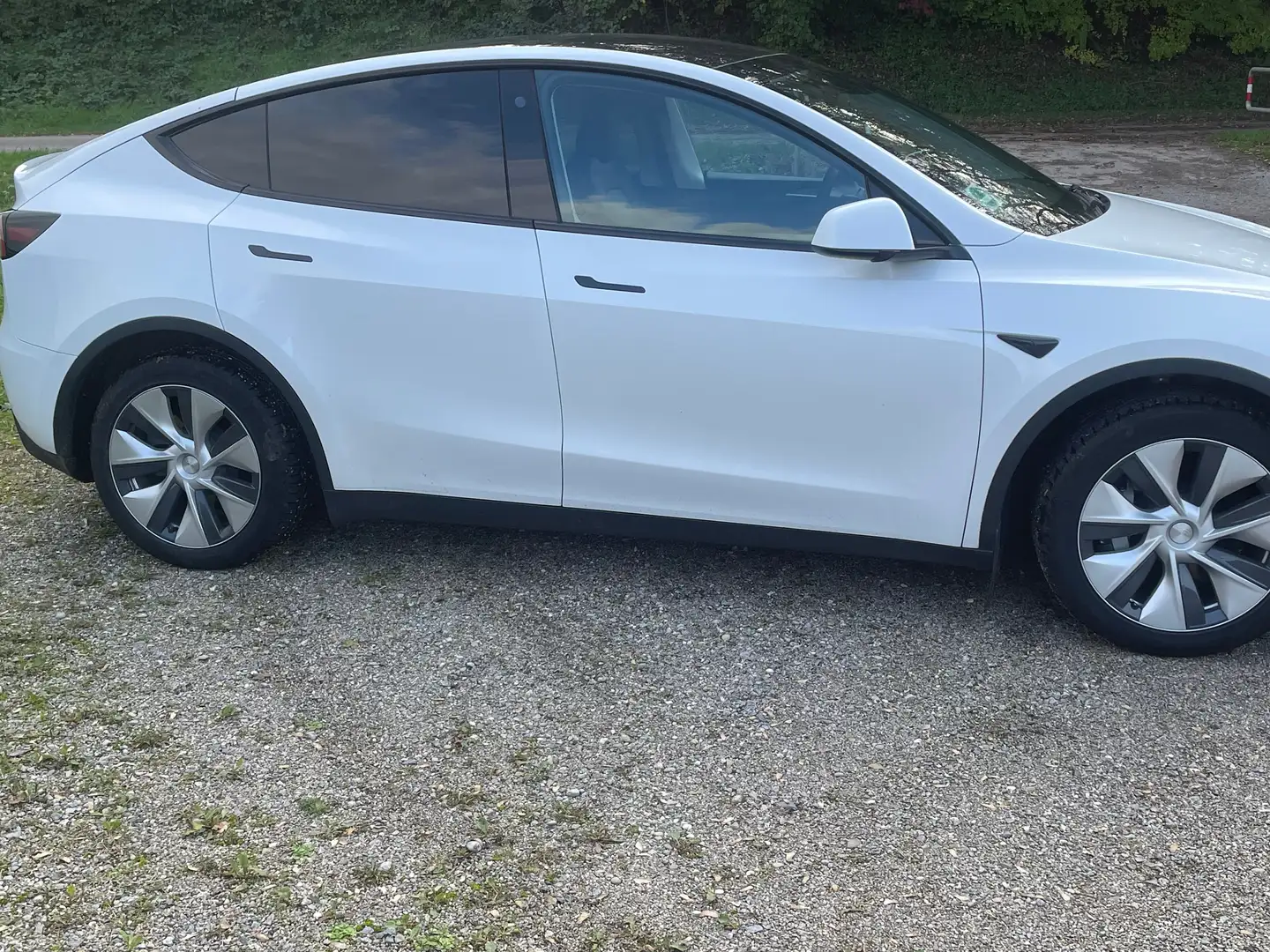 Tesla Model Y Model Y RWD Weiß - 2