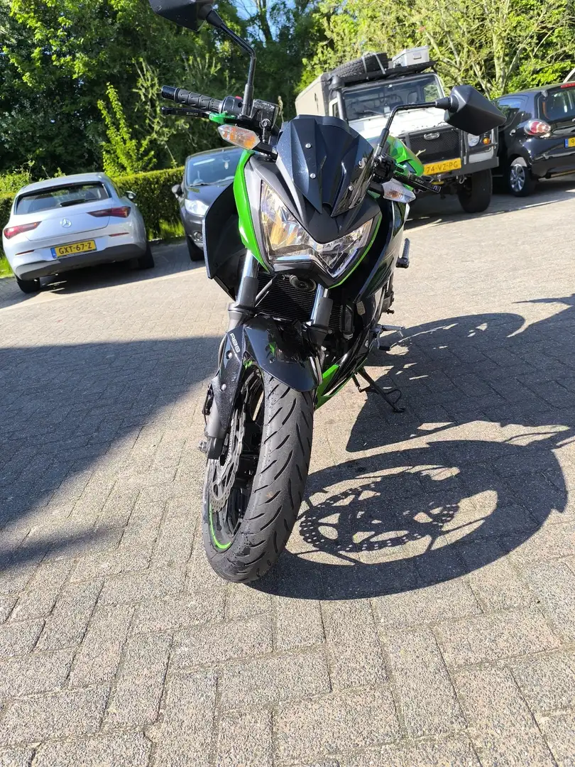 Kawasaki Z 300 Performance Verde - 2