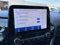 Ford Fiesta 1.0 EcoBoost MHEV Titanium - CarPlay Camera ACC Argent - thumbnail 23