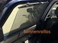 Renault Scenic Limited dCi 120 AHK Szhzg Navi CarPlay PDC SR+WR Blau - thumbnail 24