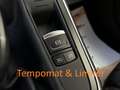 Renault Scenic Limited dCi 120 AHK Szhzg Navi CarPlay PDC SR+WR Blau - thumbnail 18