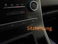 Renault Scenic Limited dCi 120 AHK Szhzg Navi CarPlay PDC SR+WR Blau - thumbnail 17