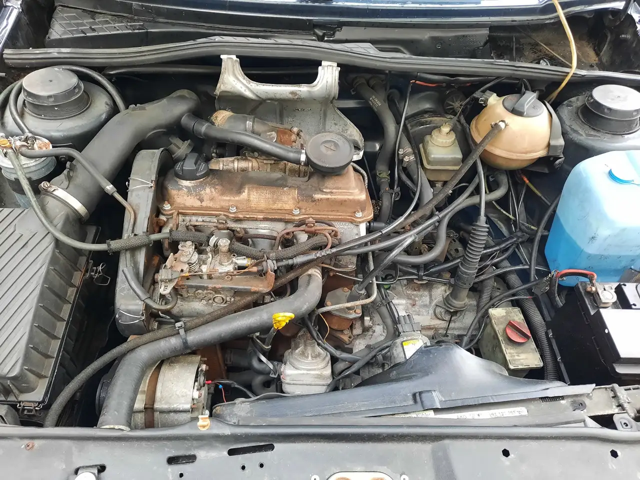 Volkswagen Golf Madison, foto 8
