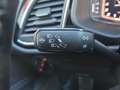 SEAT Leon Cupra 290 DSG LED Alcantara Sitzheizung LED Grau - thumbnail 24
