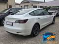 Tesla Model 3 RWD *UNICO PROPRIETARIO* Bianco - thumbnail 5