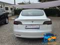 Tesla Model 3 RWD *UNICO PROPRIETARIO* Bianco - thumbnail 6