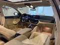 BMW 520 520d Efficient ,HECK, SCHIEBEDACH,ACC,SZH,AHK, Grau - thumbnail 20