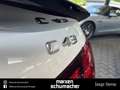 Mercedes-Benz C 43 AMG AMG C 43 4M Lim Drivers+Pano+Burm3D+Night+Carbon Blanco - thumbnail 39