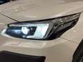 Subaru OUTBACK VI 2021 2.5i Premium lineartronic - thumbnail 44