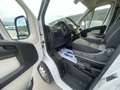 Fiat Ducato L2 H2 2.3 MJT 131 CV EURO 6D 1PROPRIETARIO! Blanc - thumbnail 12