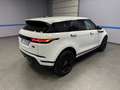 Land Rover Range Rover Evoque Evoque 2.0 mhev AWD 163cv AUTOCARRO-IVA DEDUCIBILE Weiß - thumbnail 6