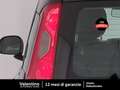 Fiat Panda 1.0 FireFly 65cv Hybrid Icon 5 Posti Negro - thumbnail 9