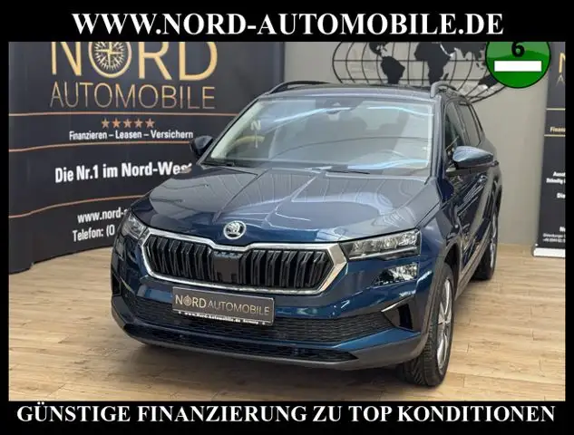 Skoda Karoq Ambition 2.0 TDI DSG Kamera/AHK/ACC/Navi/ Ambition
