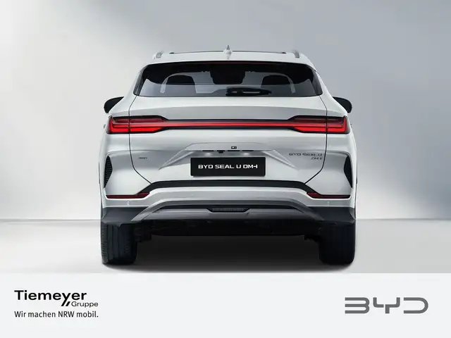 Byd Unknown Model view 3