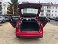 Audi A4 Avant 35 TDI S-tronic AHK+LEDER+NAVI+LED+1.HAND Rouge - thumbnail 10