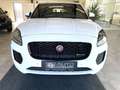 Jaguar E-Pace 2.0 DI4 D150 R-Dynamic *LED*PDC*NAV*RFK*ALLRAD* Weiß - thumbnail 8