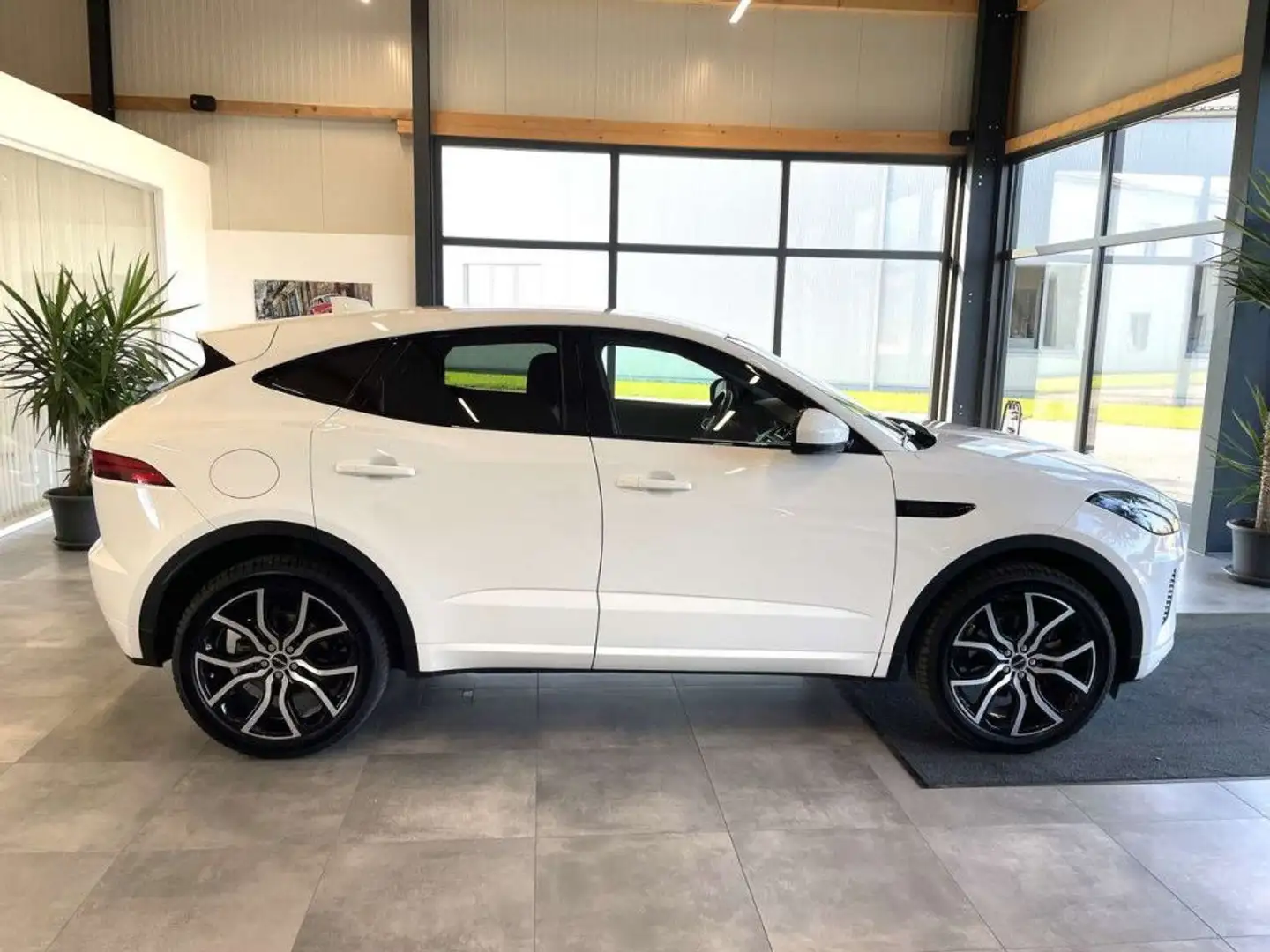 Jaguar E-Pace 2.0 DI4 D150 R-Dynamic *LED*PDC*NAV*RFK*ALLRAD* Weiß - 2
