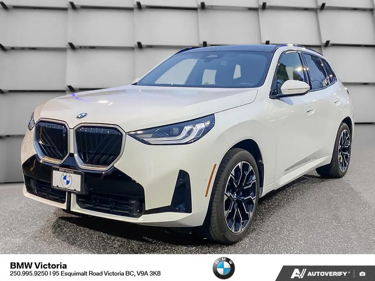 2026 BMW X3