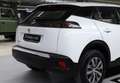 Peugeot 2008 1.2 PureTech S&S Active 100 Blanco - thumbnail 8