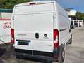Fiat Ducato MAXI 35 NGT L2/H2 Blanc - thumbnail 6