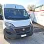 Fiat Ducato MAXI 35 NGT L2/H2 Blanc - thumbnail 3