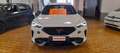 CUPRA Formentor 1.4 e-Hybrid DSG 204 CV PLUG IN Grigio - thumbnail 2