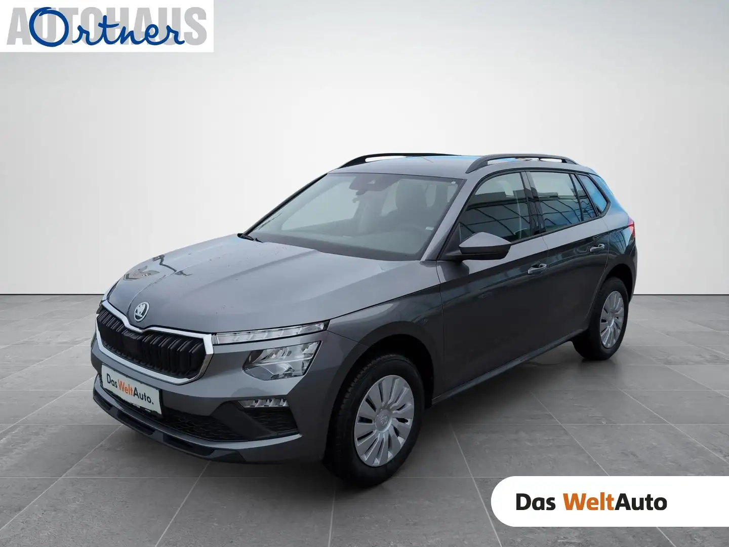 Skoda Kamiq Essence TSI Grau - 1