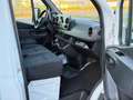 Mercedes-Benz Sprinter Wit - thumbnail 15