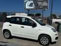 Fiat Panda 1.2 Trussardi Wit - thumbnail 4