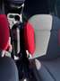 Fiat Panda 1.2 Trussardi Wit - thumbnail 7