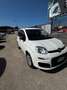 Fiat Panda 1.2 Trussardi Wit - thumbnail 2