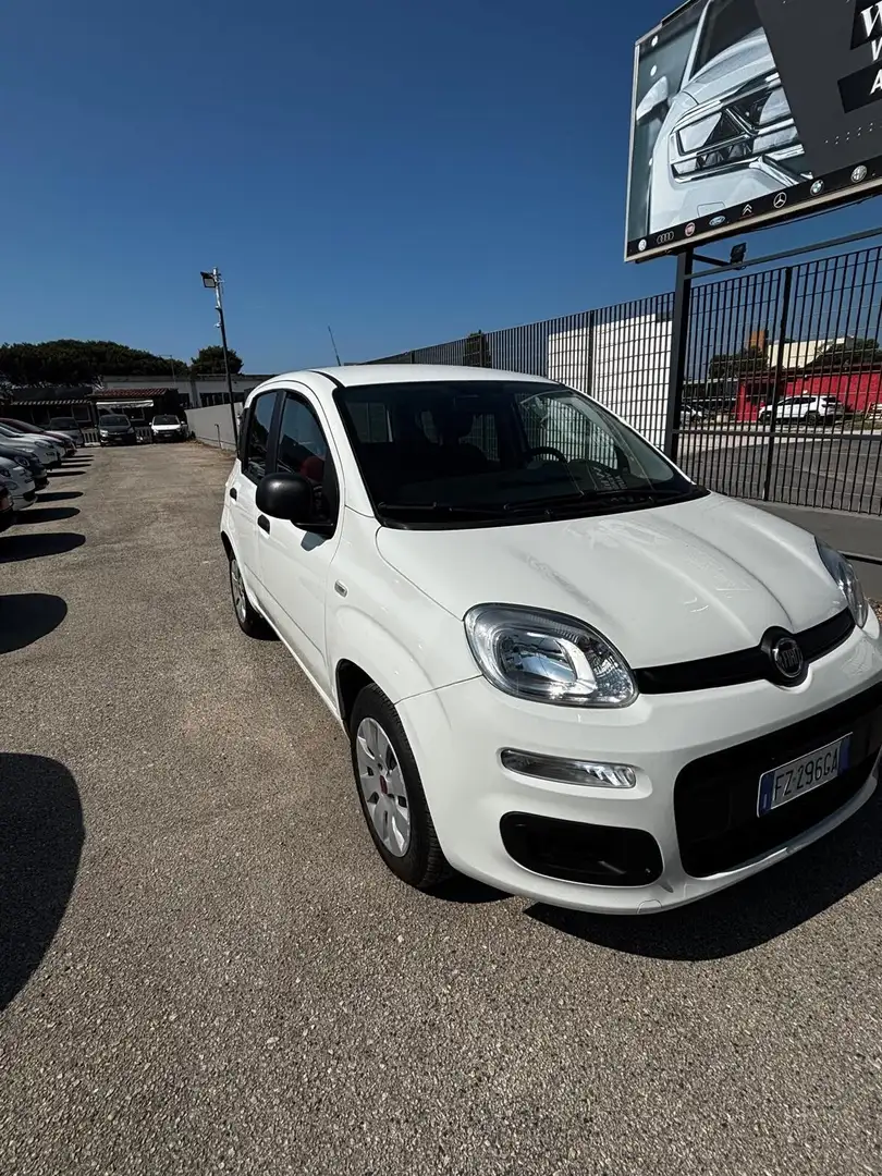 Fiat Panda 1.2 Trussardi Wit - 2