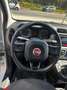 Fiat Panda 1.2 Trussardi Wit - thumbnail 9