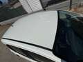 Fiat Panda 1.2 Trussardi Wit - thumbnail 15