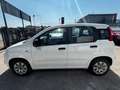 Fiat Panda 1.2 Trussardi Wit - thumbnail 3