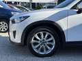Mazda CX-5 CD175 AWD Revolution SD Aut. 1.Besitz Weiß - thumbnail 9