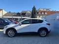 Mazda CX-5 CD175 AWD Revolution SD Aut. 1.Besitz Weiß - thumbnail 5