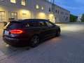 Ford Mondeo Mondeo IV 2018 SW 150cv 2.0 tdci ST-Line Nero - thumbnail 5
