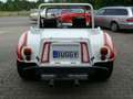 Volkswagen Buggy VW Buggy Karmann-GF"Oldtimer-Zulassung" Blanc - thumbnail 11